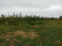 142-20180823100627hdr.webp