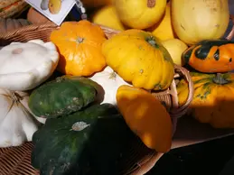142-img20191021153210.webp