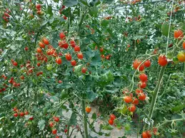 142-p20180814133637vhdrautohp.webp