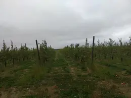 142-p20180823100745vhdrauto.webp