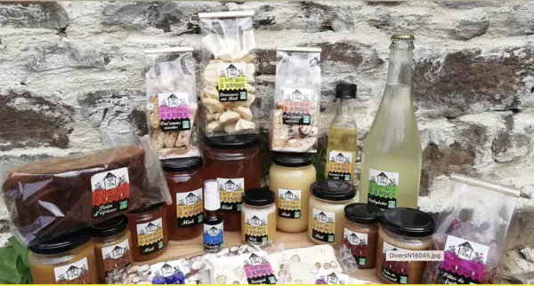 LA PETITE ABEILLE DE NORMANDIE